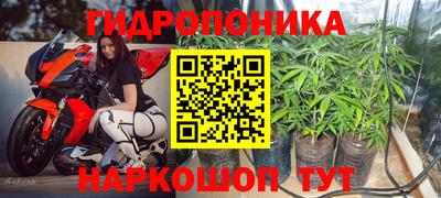 мяу мяу мука Ипатово