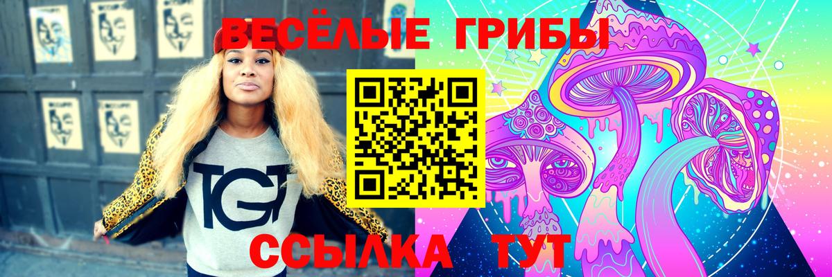 Галлюциногенные грибы MAGIC MUSHROOMS  Галлюциногенные грибы Psilocybine cubensis  Лабытнанги  Вход с VPN 
